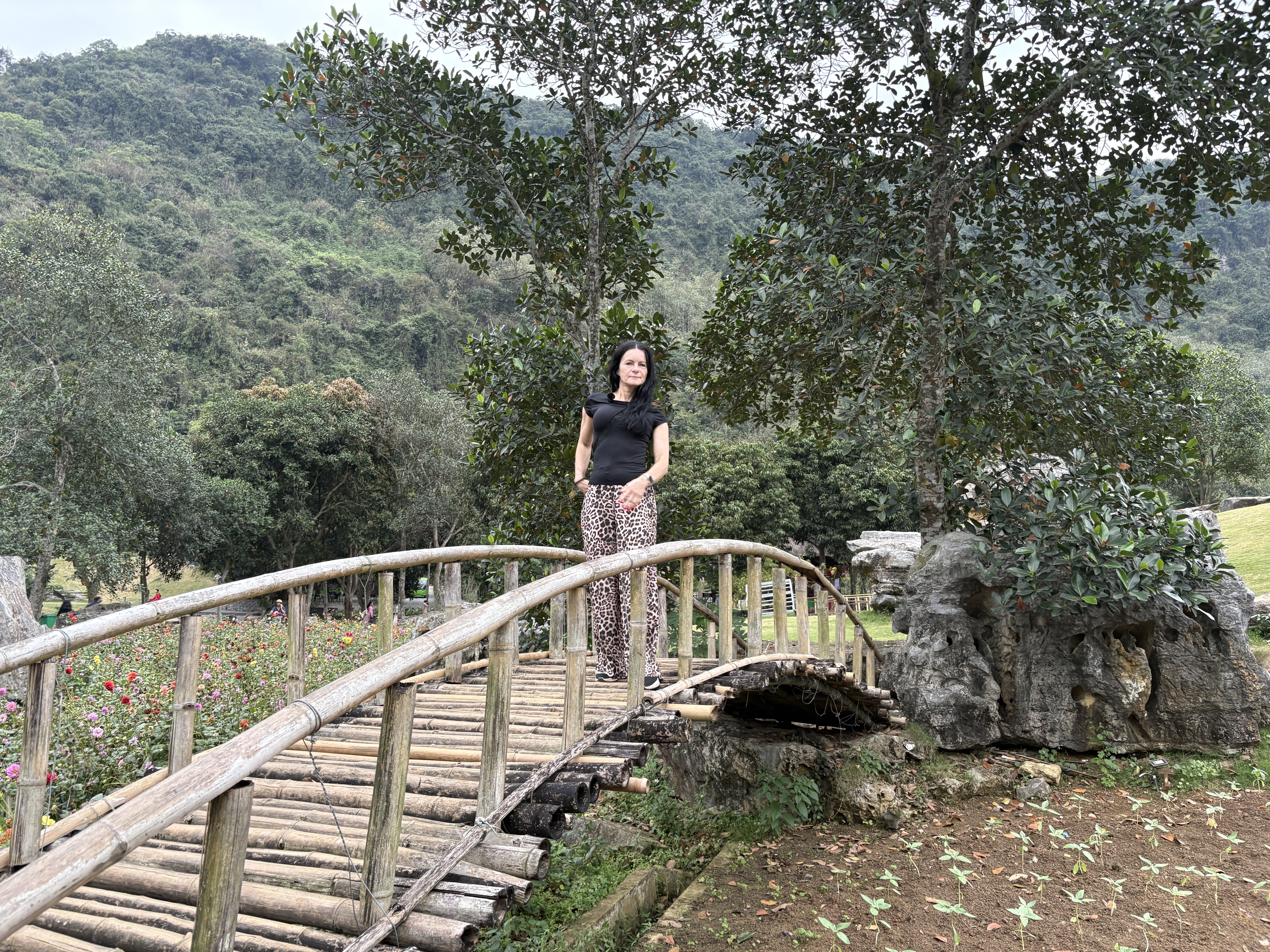 Foto